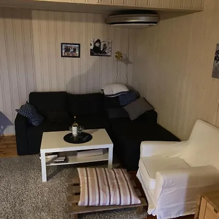 Privat bolig Mesnali / Sjusjøen